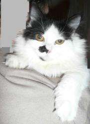 post-5446-0-28481200-1338970063_thumb.jp