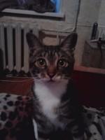 post-5446-0-33306400-1338969740_thumb.jp