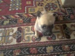 post-5446-0-38201200-1339660423_thumb.jp