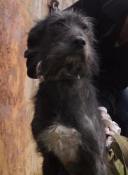 post-5446-0-44250100-1338971507_thumb.jp