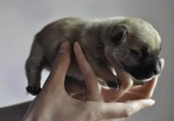 post-5446-0-59816800-1338971464_thumb.jp