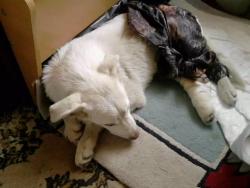 post-5446-0-92109600-1338971419_thumb.jp