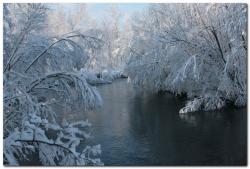 Река на Камчатке