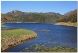 post-6541-0-12664100-1402944022_thumb.jp