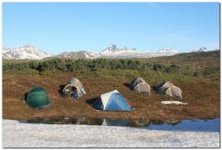 post-6541-0-22245800-1402943786_thumb.jp