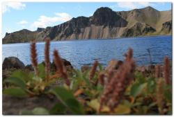 post-6541-0-24292000-1403329147_thumb.jp