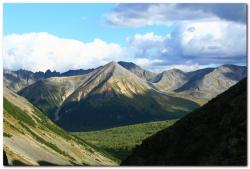 post-6541-0-69942100-1403301737_thumb.jp