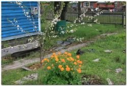 post-6541-0-94077800-1401758708_thumb.jp