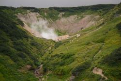 post-1980-0-30820400-1373849675_thumb.jp