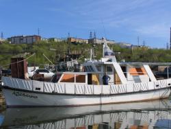 post-1980-0-70536900-1373602575_thumb.jp