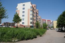 post-2093-0-75601800-1406147620_thumb.jp