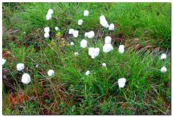 post-6541-0-02542700-1405134907_thumb.jp