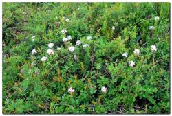 post-6541-0-16108000-1405134682_thumb.jp