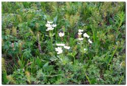 post-6541-0-28321500-1405134447_thumb.jp