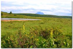 post-6541-0-88732000-1405134212_thumb.jp