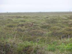 post-6649-0-78696900-1406521199_thumb.jp