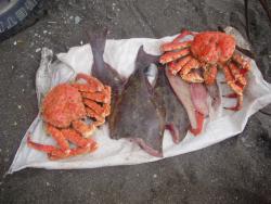 post-6649-0-81236700-1406520925_thumb.jp