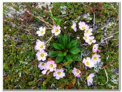 post-6541-0-52886100-1438380836_thumb.jp