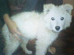 post-5446-0-63777200-1344471265_thumb.jp