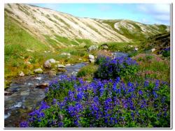 post-6541-0-66857000-1408809948_thumb.jp