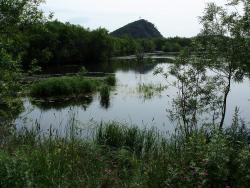 P8120026 Болото на Култучном озере.jpg