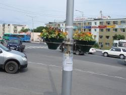 Вазоны на столбе на проспекте 50 лет Октября.jpg