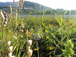 post-1180-0-42738800-1317109603_thumb.jp