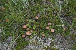 post-1980-0-01663100-1314930347_thumb.jp