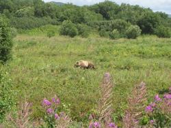 post-1980-0-02434700-1314929355_thumb.jp