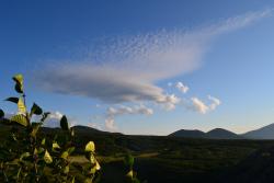 post-1980-0-07630200-1314930510_thumb.jp