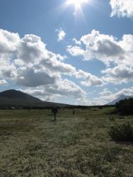 post-1980-0-27928900-1314929799_thumb.jp