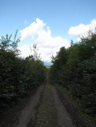 post-1980-0-36722600-1314929557_thumb.jp