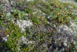 post-1980-0-44484900-1314930372_thumb.jp