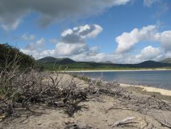 post-1980-0-53133900-1314929942_thumb.jp