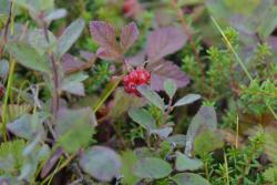 post-1980-0-59342200-1314930358_thumb.jp