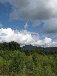 post-1980-0-73397300-1314929497_thumb.jp