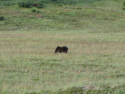 post-1980-0-83426700-1314929959_thumb.jp