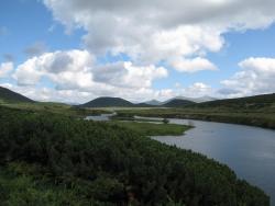 post-1980-0-84346500-1314929762_thumb.jp