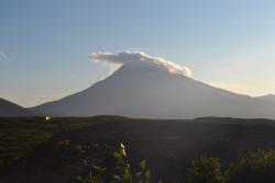 post-1980-0-85748400-1314930440_thumb.jp