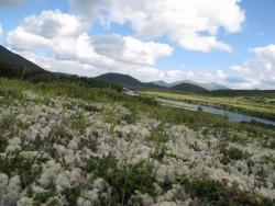 post-1980-0-86797700-1314929724_thumb.jp