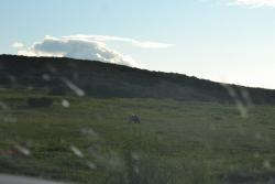 post-1980-0-89807100-1314930429_thumb.jp