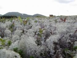 post-1980-0-98690900-1314929603_thumb.jp