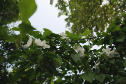 post-2093-0-76076000-1410103248_thumb.pn