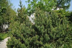 post-2093-0-77104900-1410114945_thumb.jp