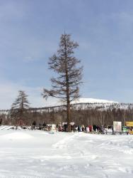 75. До свидания, стойбище Мэнэдек. 9 марта 2013.jpg