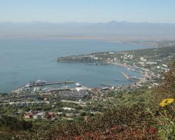 5. Сероглазка. Петропавловск-Камчатский, 2015.jpg