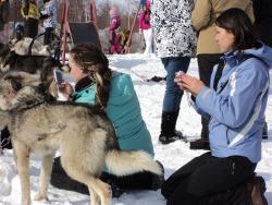 71.Туристы возле ездовых собак в Мэнэдеке.jpg