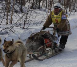 68. Каюр Байшуакова Маргарита финиширует на своей упряжке в Мэнэдеке. Март 2013.jpg