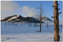 post-6541-0-35463000-1382999377_thumb.jp