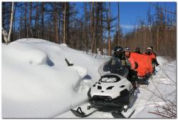 post-6541-0-89248800-1382999132_thumb.jp